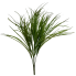 22" Monkey Grass