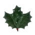 12" Holly Leaf Plate