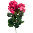 20" Geranium Bush - Pink