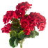 20" Geranium Bush - Red