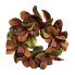 24" Autumn Magnolia Leaf Wreath