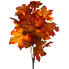 17" Maple Leaf Bush