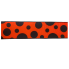 2.5" x 10yd Orange w/ Black Polka Dot Ribbon