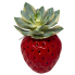 4.5" Ceramic Strawberry Vase-Red