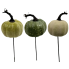 10.5" Pumpkin Pick 6-Pack Green