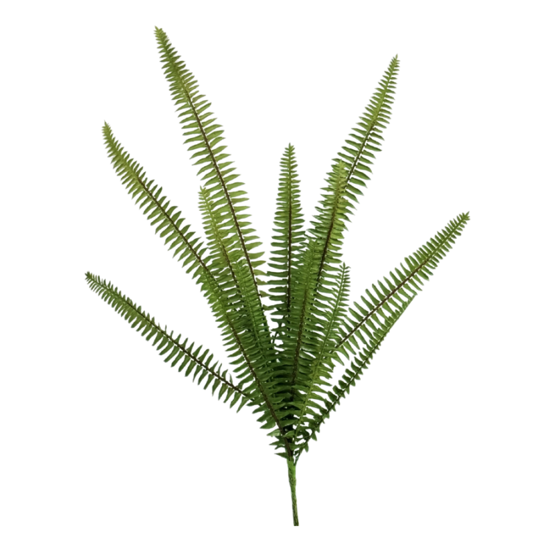 20" Fern Spray