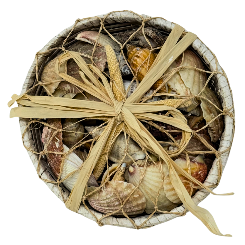 White Round Basket of Shells