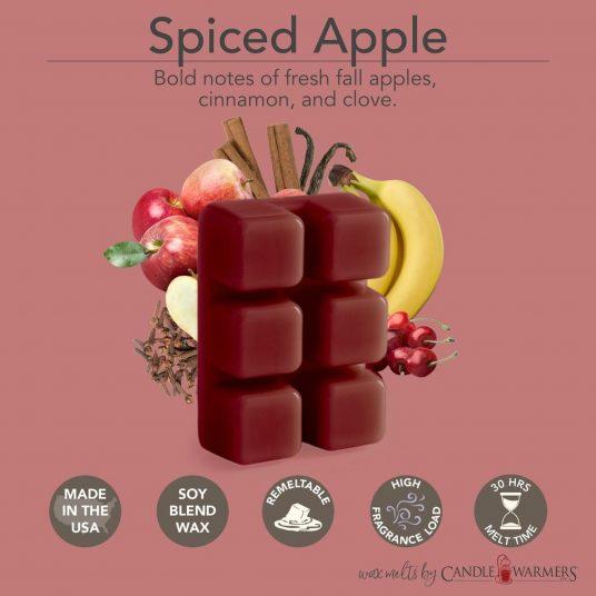 2.5oz Classic Candle Wax Melts- Spiced Apple | Gift Ideas