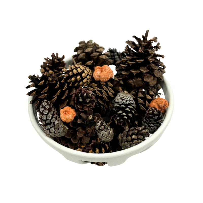 Scented Pinecone Variety