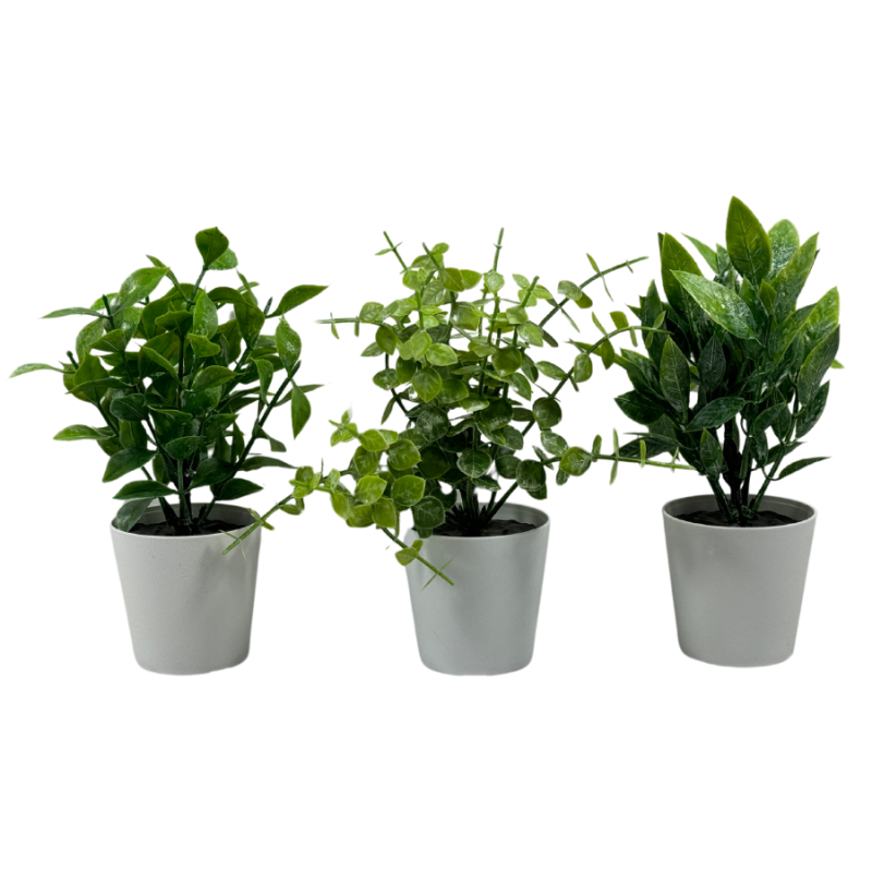 3 Piece Mini Potted Plant Set