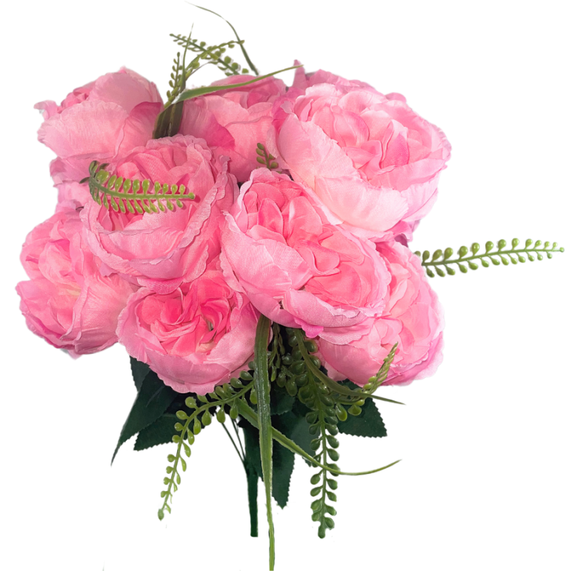 20" Cabbage Rose Bush - Pink