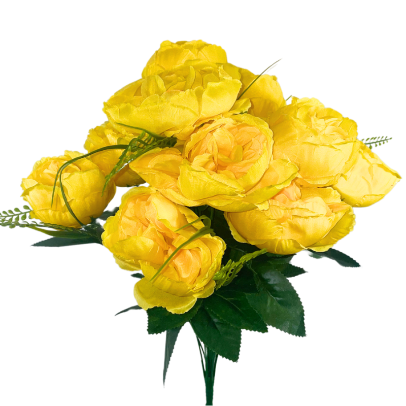 20" Cabbage Rose Bush - Yellow