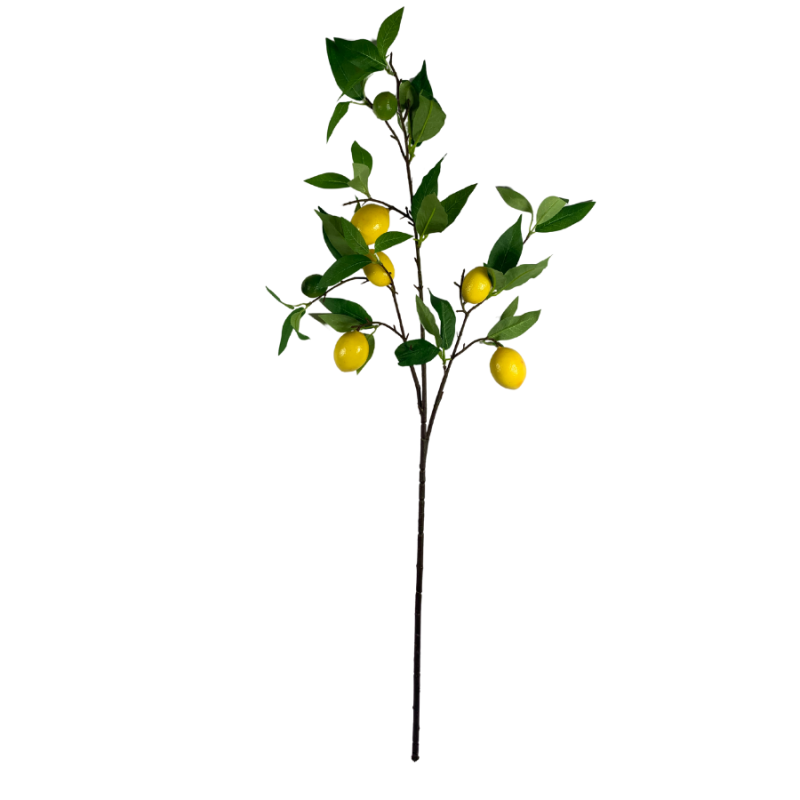 34" Wild Lemon Stem