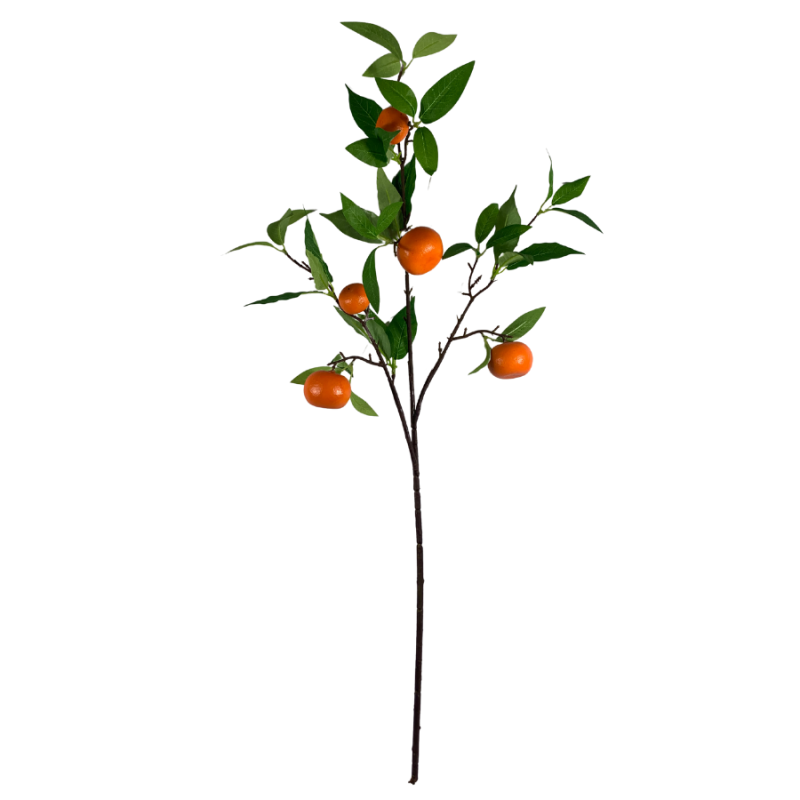 34" Wild Orange Stem