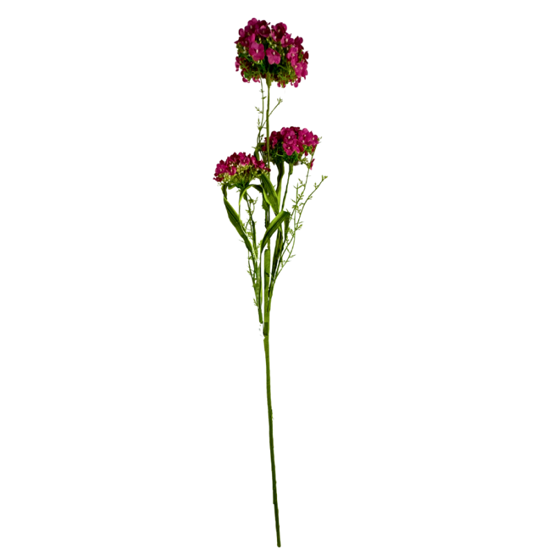 30" Sweet William Spray