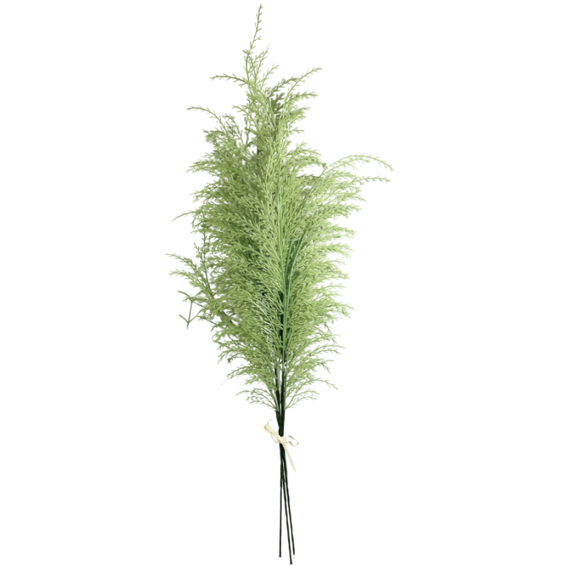 29" Phoenix Tail Fern - Apple Green