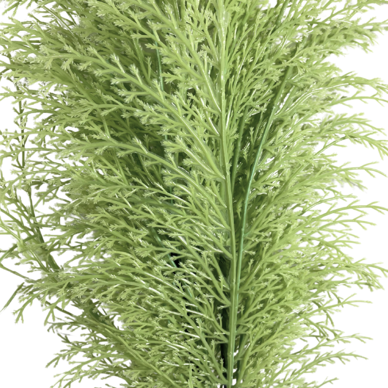 29" Phoenix Tail Fern - Apple Green