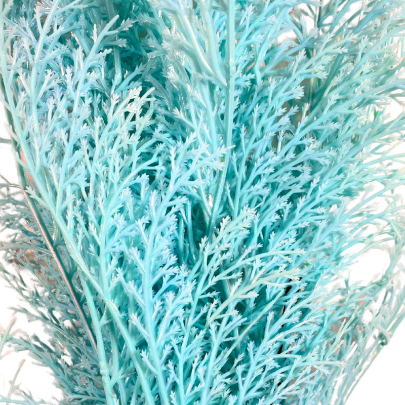 29" Phoenix Tail Fern - Aqua