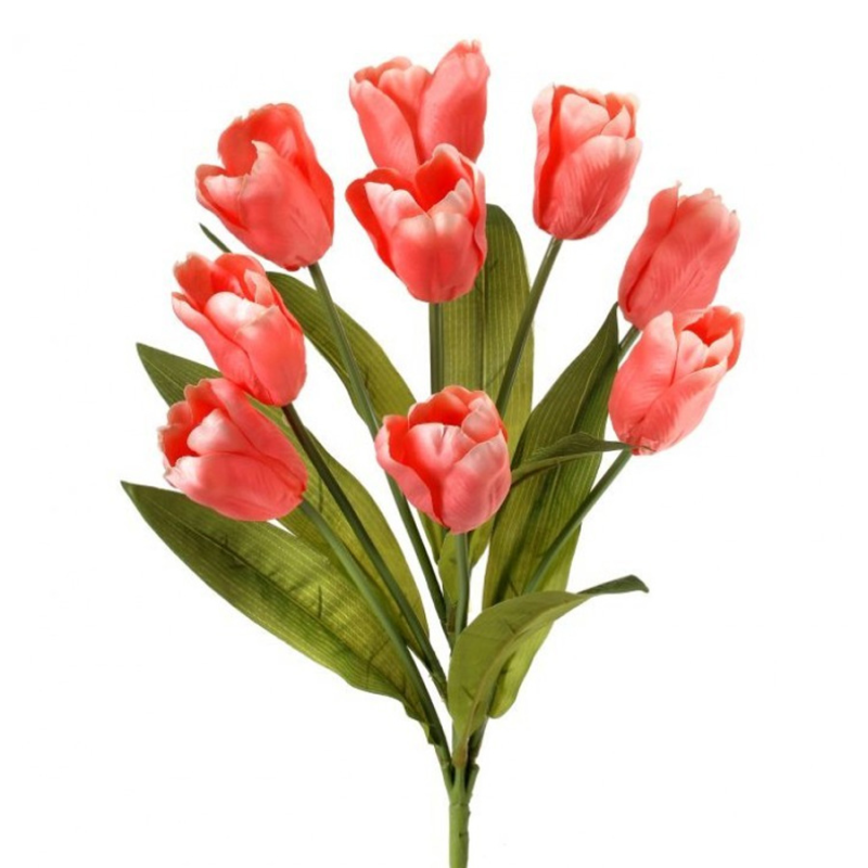 20" Tulip Bush - Blush