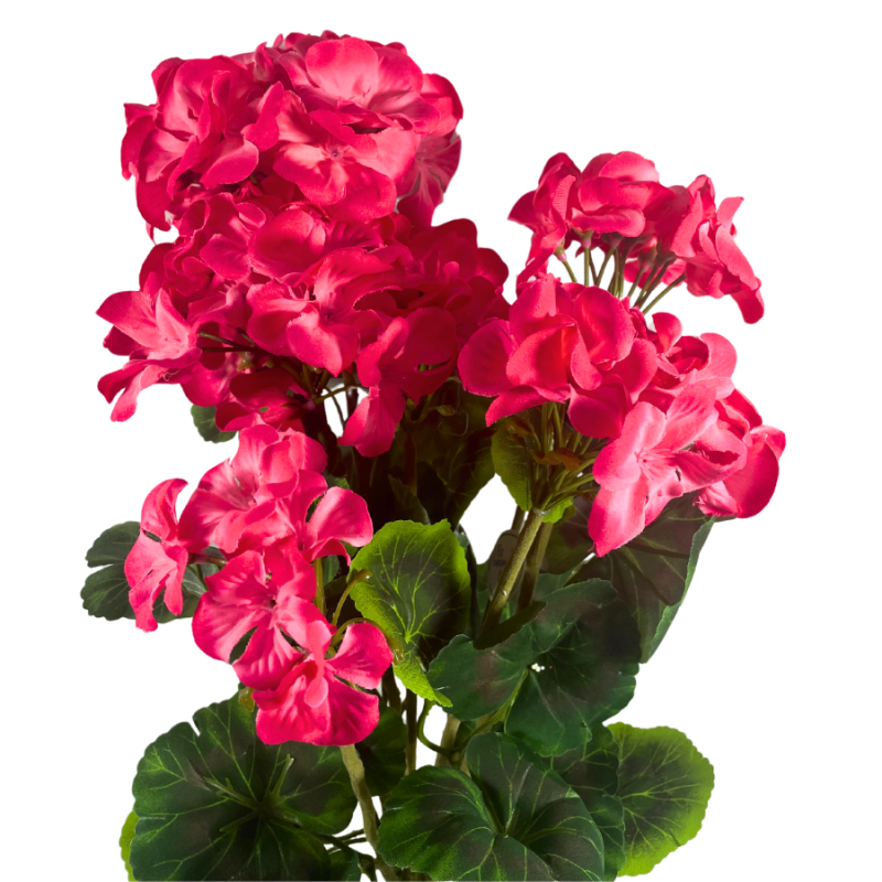 20" Geranium Bush - Pink