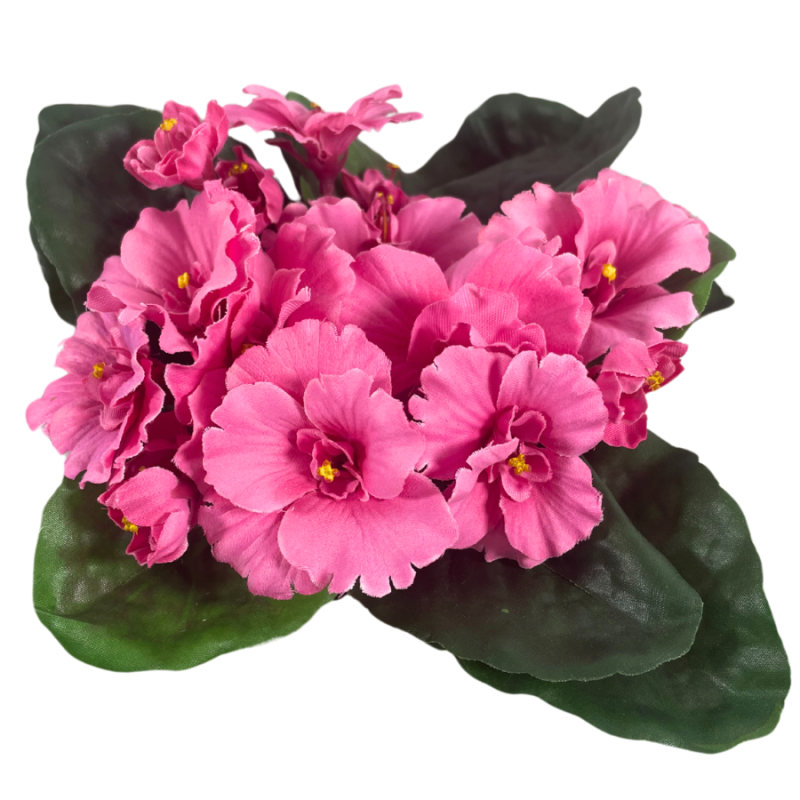 8" UV African Violet Bush - Pink