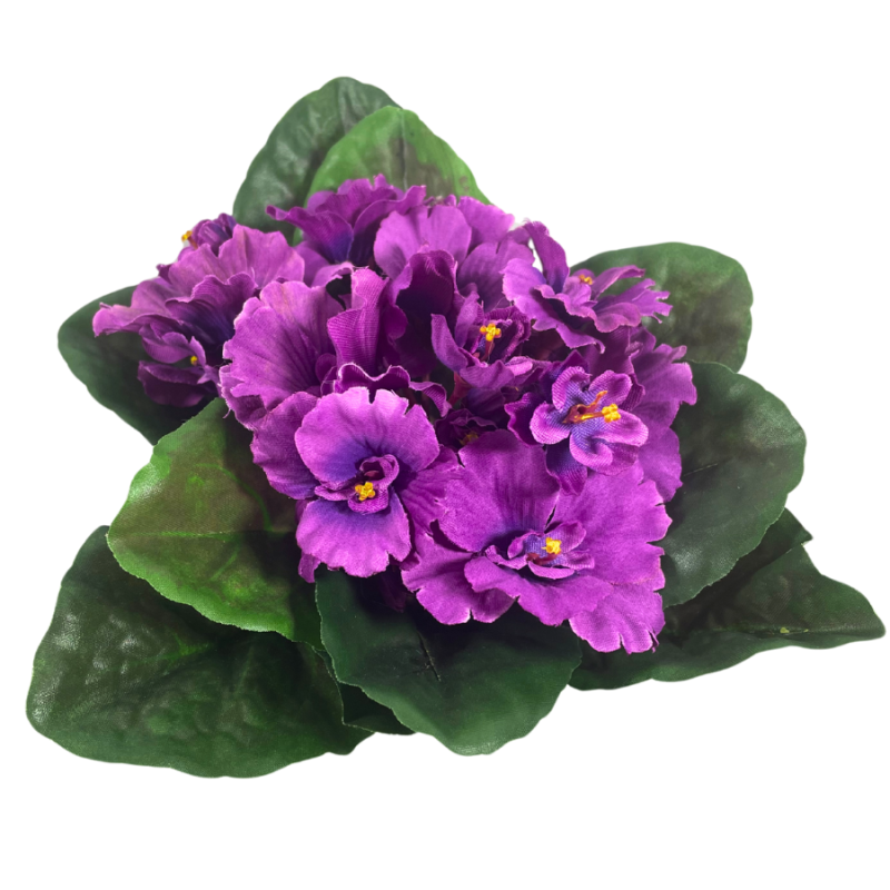 8" UV African Violet Bush - Purple