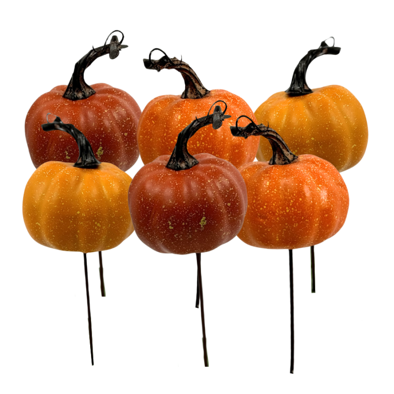 10.5" Pumpkin Pick 6-Pack- Orange