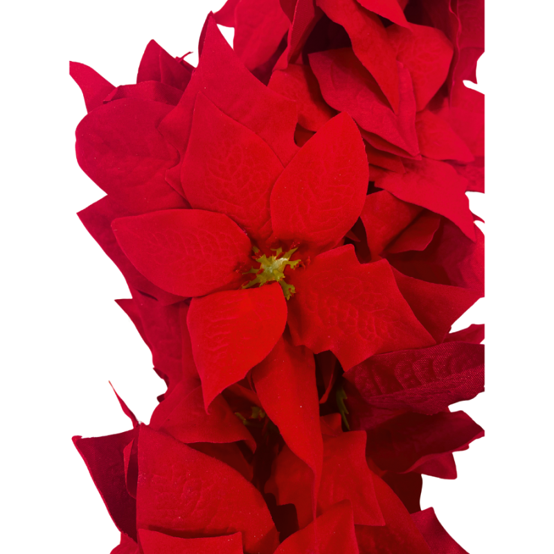 6' Majestic Velvet Edge Poinsettia Garland